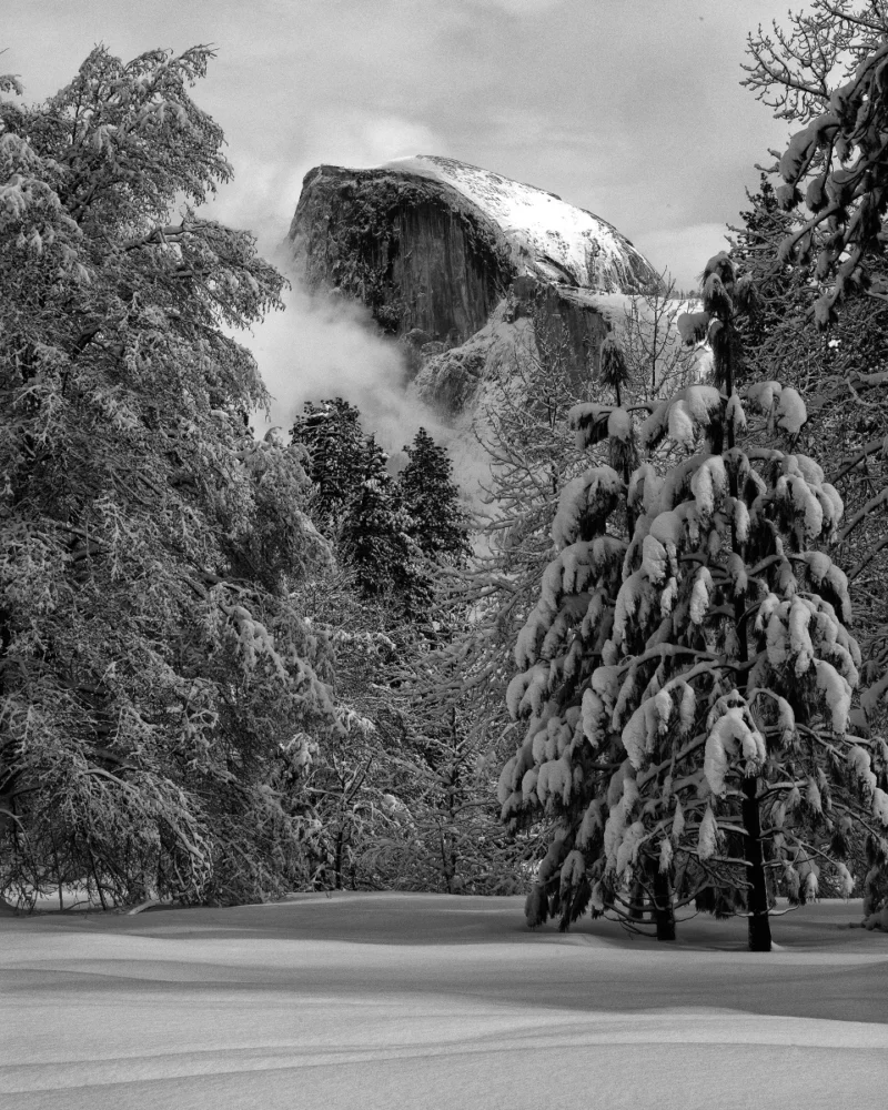 Winter Dome II